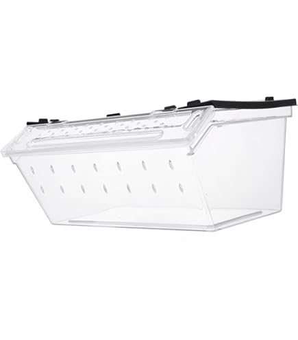 Amazon.co.jp: Mipcase プラケース マルチケース 飼育ケース チッ 餌